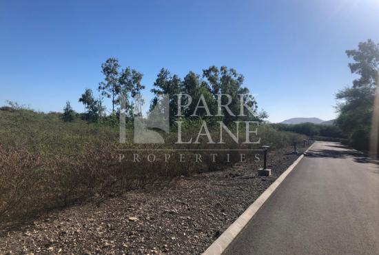 Land at the foot of the mountain