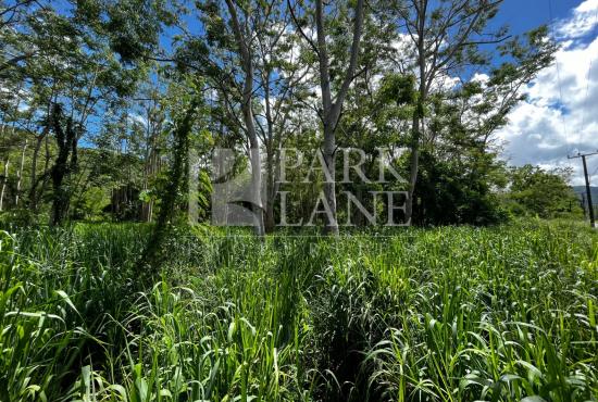 Magnifique Terrain agricole à La Mivoie
