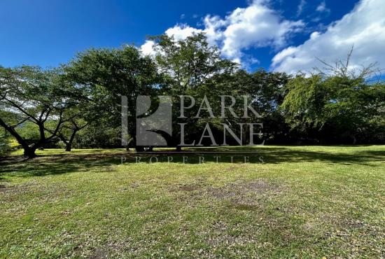 Splendid residential plot close to Bagatelle and the capital