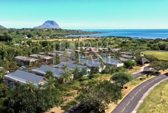 Villa Aloes Bleu: Luminosity and serenity for everyday life