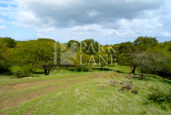 Invest in a plot of land in the heart of the Domaine de Palmyre