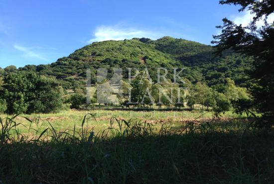 Beautiful plot with potential for a residential project 