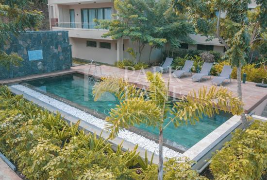 1 bedroom apartment in a Zen atmosphere